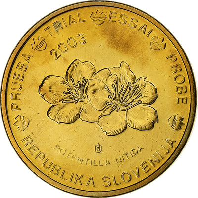 Slovenia, 
            
               20 Euro Cent, 
            
               unofficial private coin