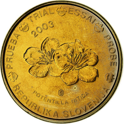 Slovenia, 
            
               10 Euro Cent, 
            
               unofficial private coin