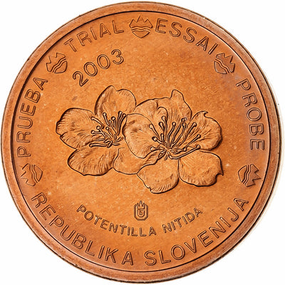 Slovenia, 
            
               Euro Cent, 
            
               unofficial private coin