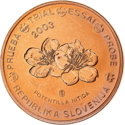 Slovenia, 
            
               2 Euro Cent, 
            
               unofficial private coin