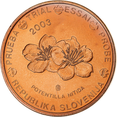 Slovenia, 
            
               5 Euro Cent, 
            
               unofficial private coin